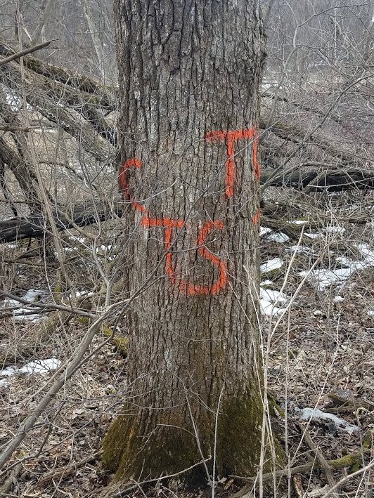 trail markings