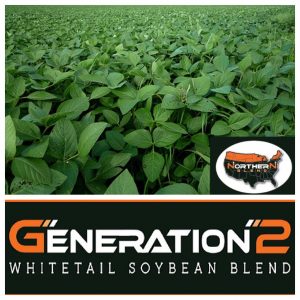 Gen2 Soybeans