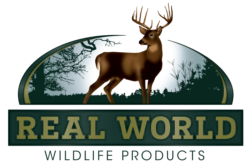 Real World Logo